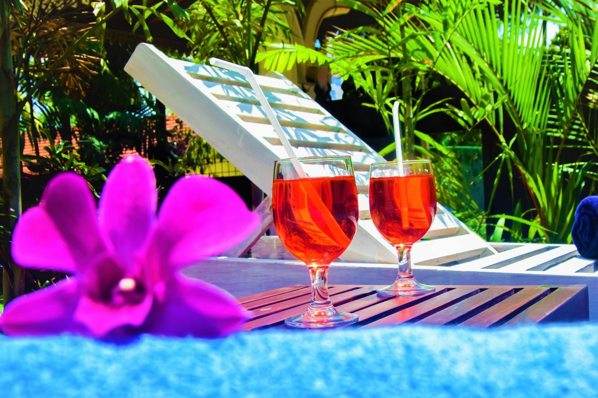 Emel Boutique Otel Negombo Dış mekan fotoğraf
